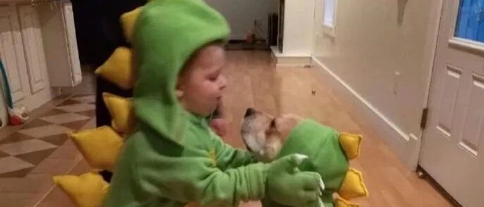 “陪伴了我16年的狗狗...”小主人对爱犬的回忆，看哭了无数铲屎官。