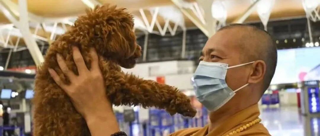 他脱下僧袍，却“立地成佛”，29年救下9000只毛孩子，这样的出家人你见过吗？