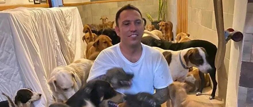 男子同时带300只狗狗回家躲飓风，网友惊：那岂不是要捡300坨粑粑？