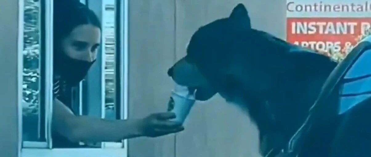 去星巴克买咖啡，发现前面排队的二哈，在鬼嚎式点餐...