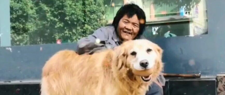 流浪大叔每天都把仅有的馒头喂给宠物店狗狗...超暖心！