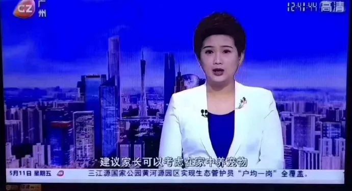 「2歲娃半夜醒了，第一反應不是找我，而是找狗？」 寵物 第8張