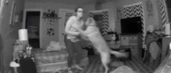 “当我喝醉后，居然是狗子把我扶上床休息的？”