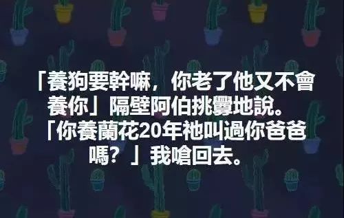 鄰居酸「老了它又不養你！」被網友神回復懟得啞口無言！ 萌寵 第4張