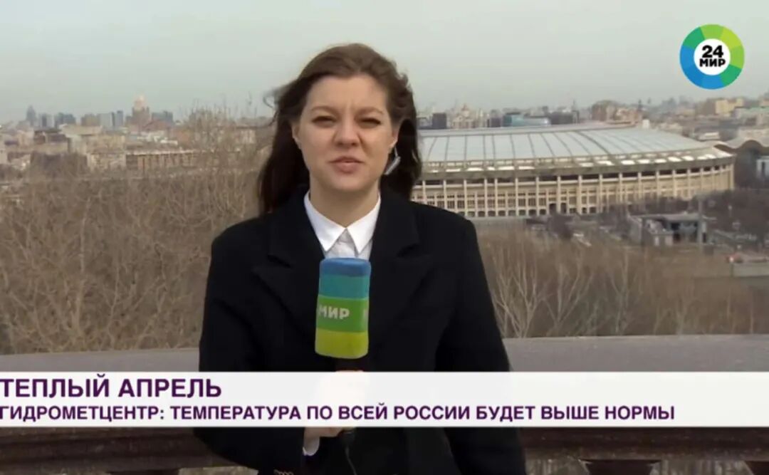 大金毛引发直播事故，结果收视率反而暴涨..