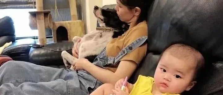 “送养：这货实在太吵了！”网友正要愤怒讨伐，看到照片后，瞬间笑喷了！