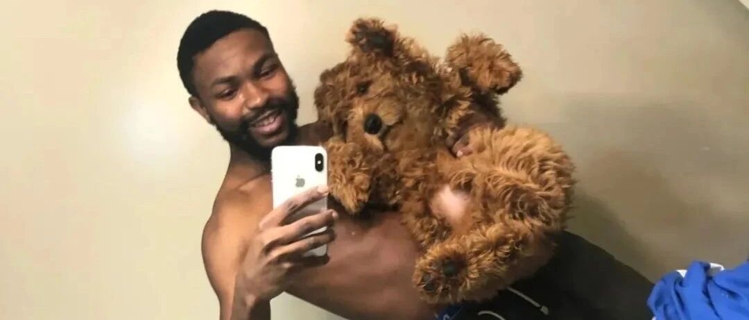 养了一只超萌小“泰迪”，可五个月后，这个头熊是怎么回事？