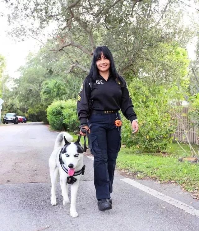 5天時間把二哈訓練成警犬？民警小姐姐：我太難了！ 寵物 第15張