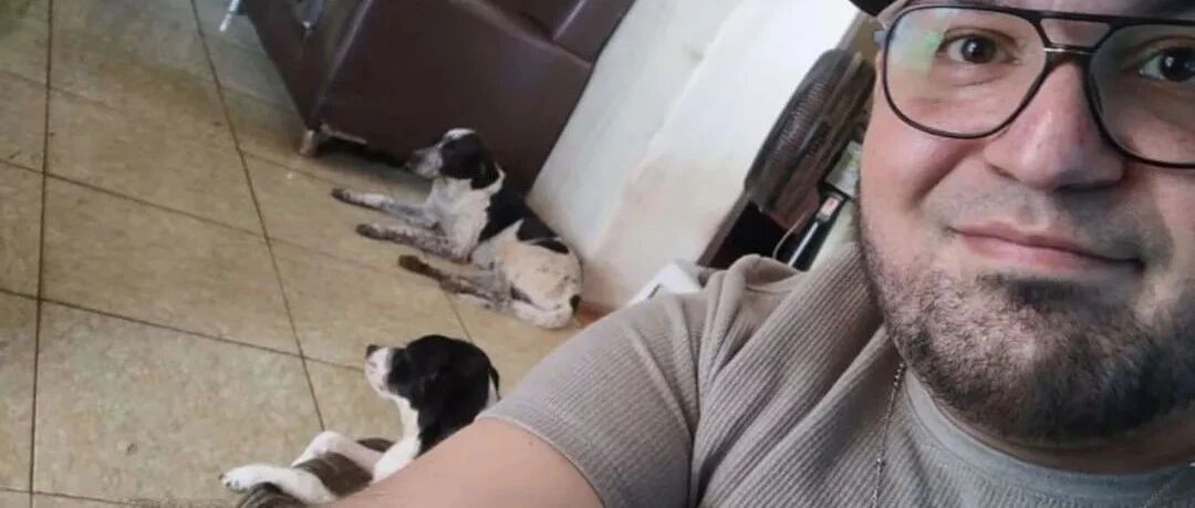 终于找到走失的狗狗，可几天后才发现，这货居然是冒名顶替的！