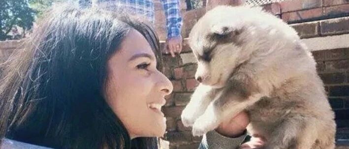 本想养一只小狗，结果这货长成了“大狮子”！