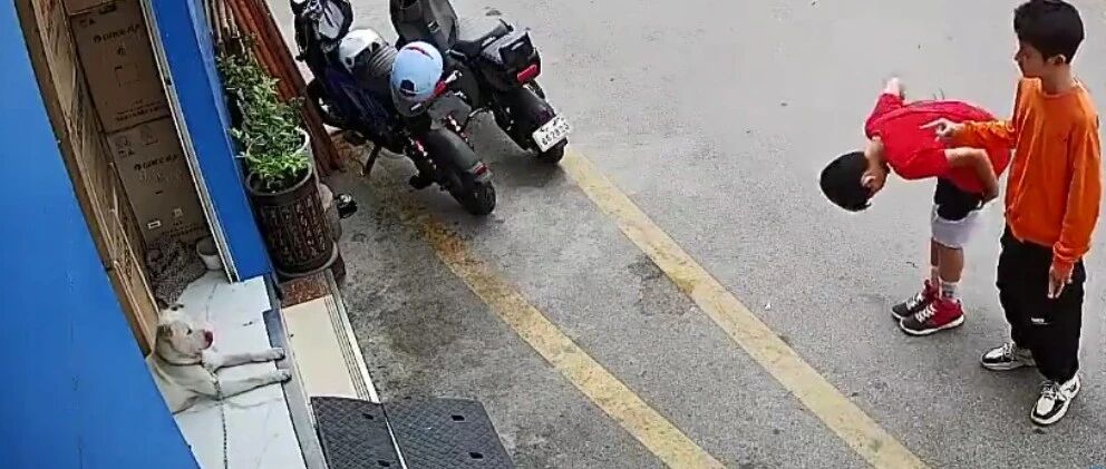 小男孩一本正经的向狗狗鞠躬道歉...哈哈哈哈哈哈人类幼崽太可爱了！