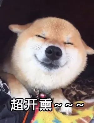 出差回家,我被狗子踹进医院了...........-微信头条网 出差回家,我被狗子踹进医院了...........