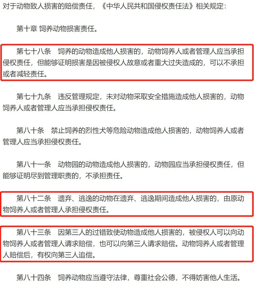 痛心！老人被狗繩絆倒身亡，這到底是誰的責任？ 寵物 第9張