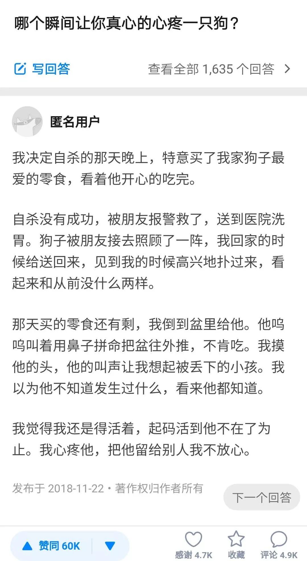 狗狗在親眼目睹主人跳河後，它只做了一件事... 寵物 第4張