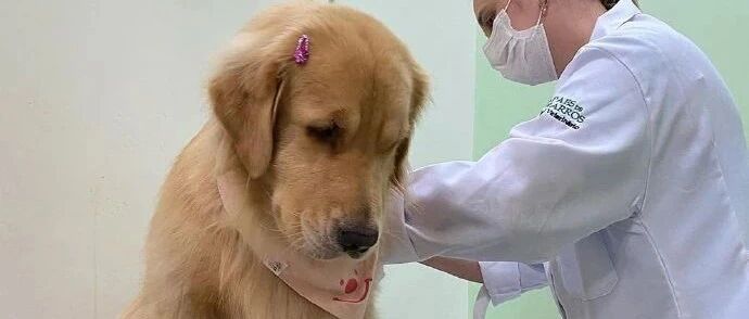 当狗狗看到穿白大褂的...哈哈哈哈哈要不要这么怂啊！