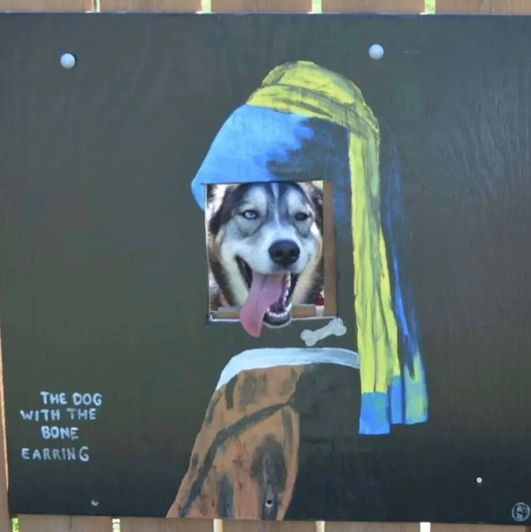 狗狗喜欢暗中观察，铲屎官就恶搞了它一下，这个画风很喜感！