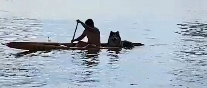 千万别带阿拉去划船...哈哈哈哈哈哈哈笑喷了！