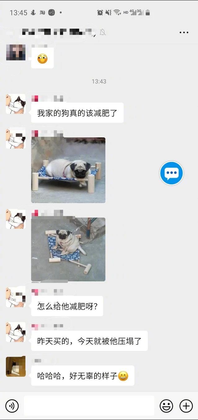 原来狗子真的可以胖到压塌炕！
