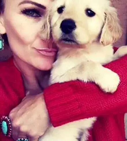 这只看着就让人想笑的金毛宝宝，其实是一个大英雄！-第8张图片-Celia的博客