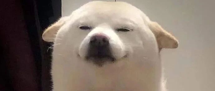 刚做完手术，白柴就坚持叼球到门口迎接家人，这个举动让人心疼坏了...