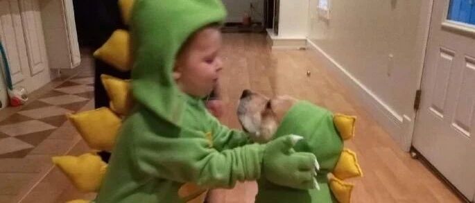 10岁小男孩被野狼盯上，小狗舍命飞扑，最后英勇死在主人怀里...