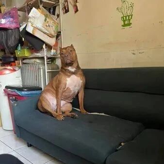 老公不在家，跟小三汪单独相处，没想到气氛尴尬爆了！