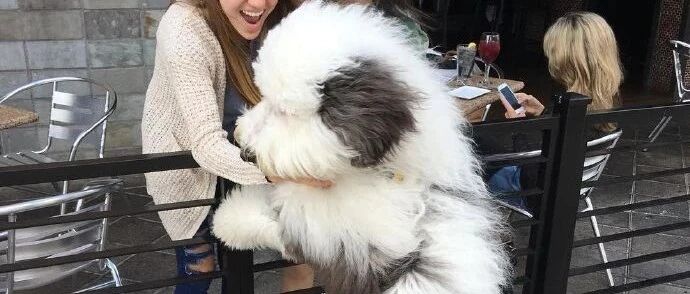 “救命，长那么大个就不要撒娇了啊！”