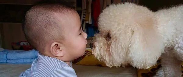 半夜被狗狗推醒，主人狂怒追它进房才发现惊险一幕...