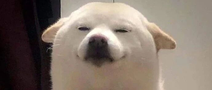 当狗狗看到自己喜欢的人时...这反应太甜了！！