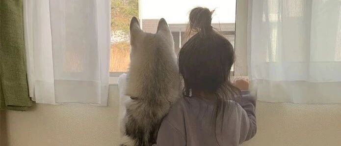 怀孕就弃养狗狗的人，将永远错过这些画面！