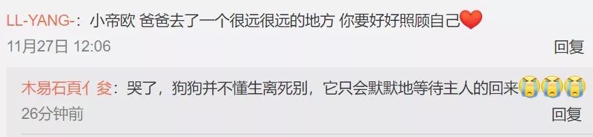 高以翔走了，這隻6歲的狗狗再也等不到它最溫柔的主人了…… 寵物 第19張