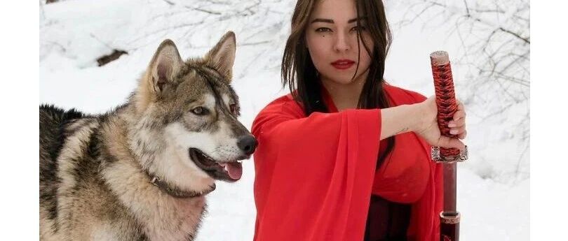 出生仅3天狼崽被亲妈遗弃，小姐姐就把它宠成了一只“大狗狗”！