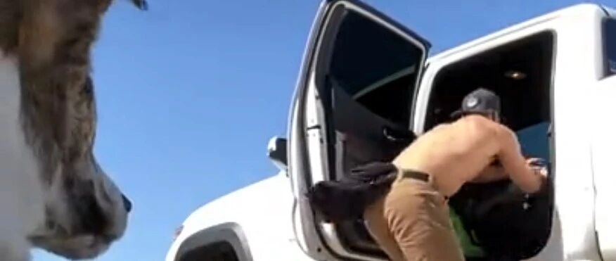 领养了只什么都不会的狗狗，小哥只好手把手教它如何当汪星人！