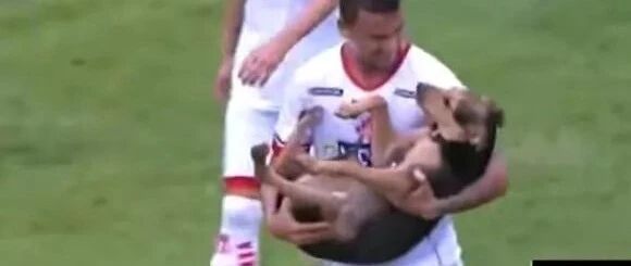 原来闯入足球比赛的狗子，都是这么个下场...