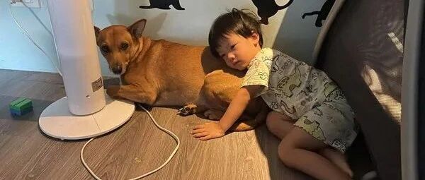 小主人生病后啥都不要，只要狗屁股，狗子都懵了：这是啥癖好？