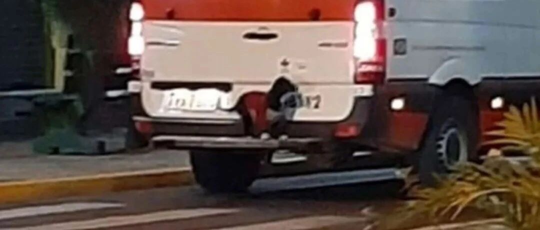飞速行驶的救护车突然被警车拦下：你们的车门后面有条狗！