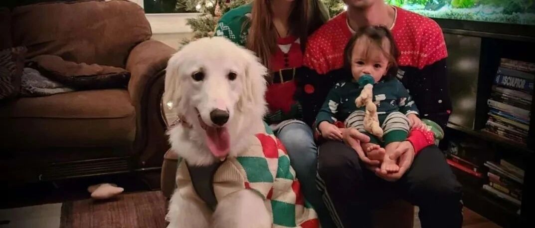 “养了个胆小又黏人的大白熊，可它居然救下了全家人！”