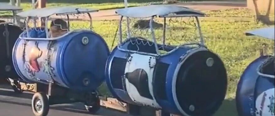 路边偶遇一辆小火车，每个车厢里居然都有一只狗狗...