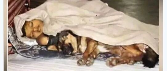 父亲入狱后，遭母亲遗弃，10岁男童寒夜街边拥狗狗入眠：我只有你！