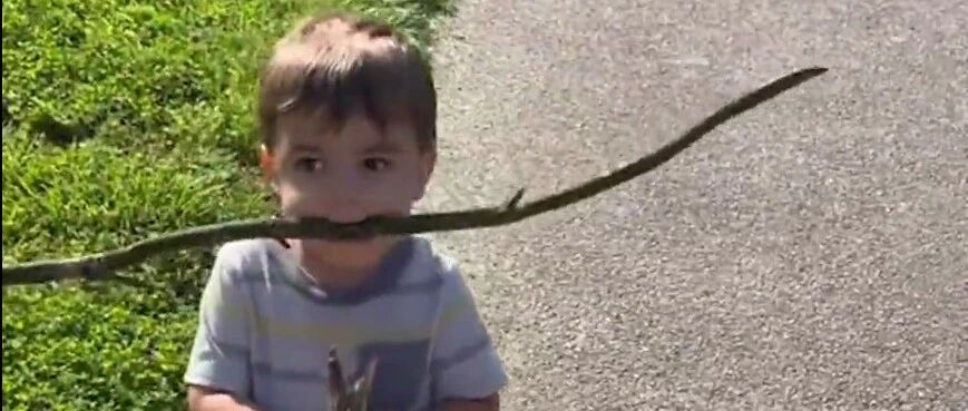 “让狗帮忙带娃后，我家孩子的画风就逐渐跑偏了...”