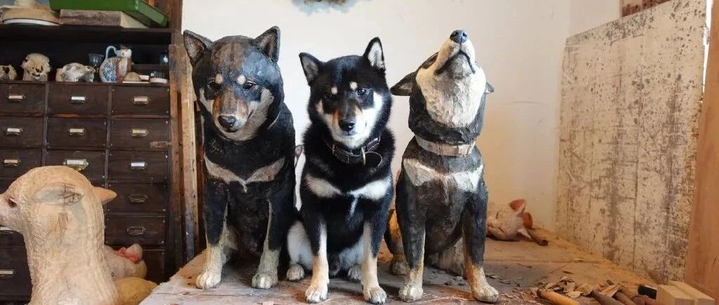 狗子知道自己是狗吗？不，它以为自己是个雕！