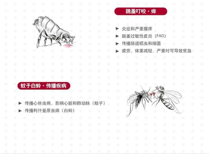 養狗後最崩潰的瞬間......這狗還能要嗎？ 寵物 第19張