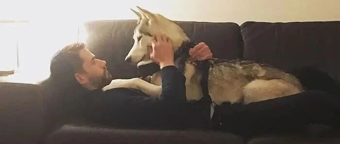 “怀疑男朋友是看上了我的狗才跟我在一起的！”