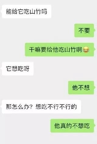 爸媽寵狗狗能寵到什麼地步？哈哈哈哈這是連面子都不要了嘛！ 寵物 第7張