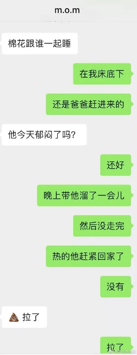 爸媽寵狗狗能寵到什麼地步？哈哈哈哈這是連面子都不要了嘛！ 寵物 第9張