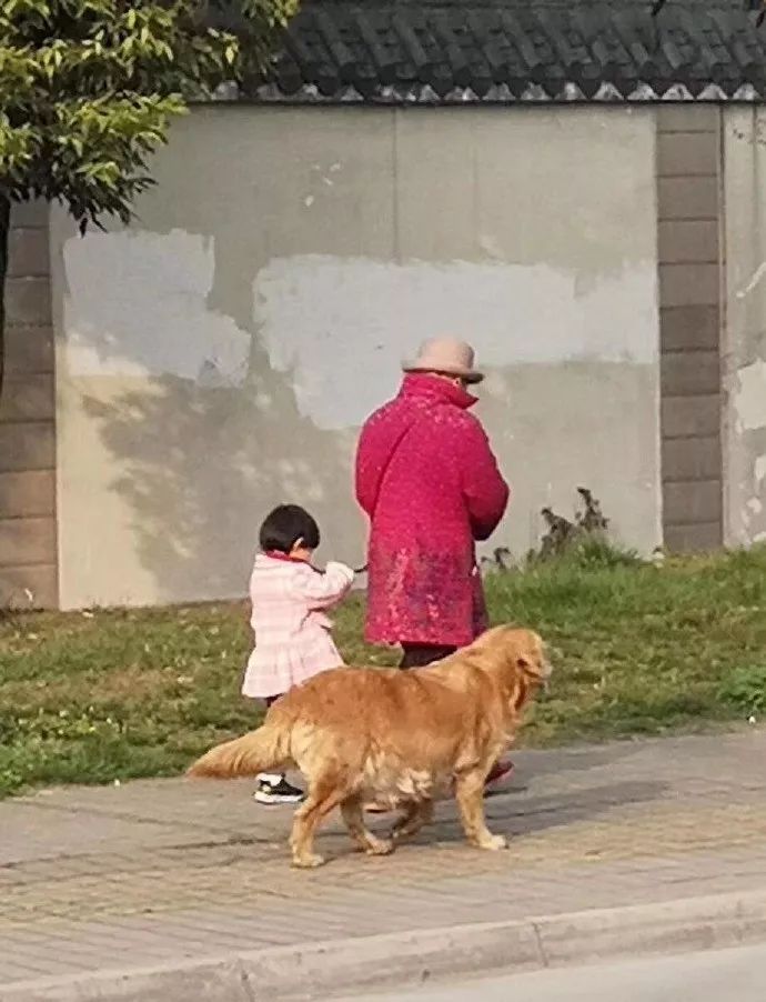 偶遇一位奶奶牽孫女遛狗，可仔細看了下，奶奶是不是牽錯了？ 未分類 第5張