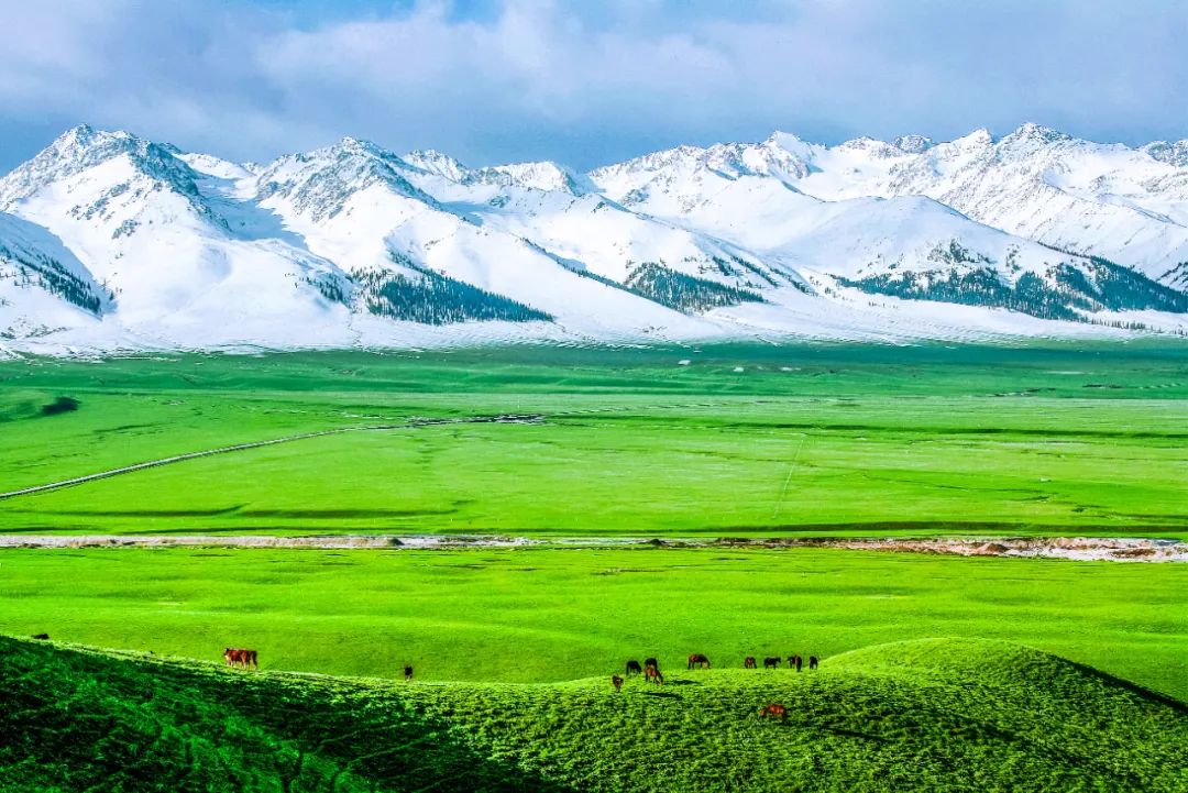 隻開5個月！新疆網紅公路重新通車，一天穿越四季美景，自駕約起！ 旅遊 第42張