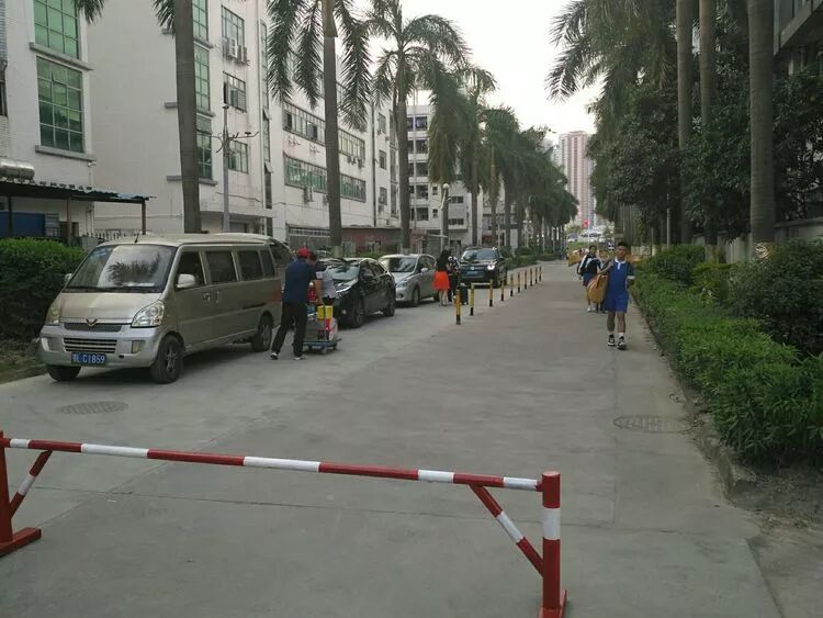 深圳市格睿特高级中学之手机管理篇——玩手机是毁掉成绩最快的方式