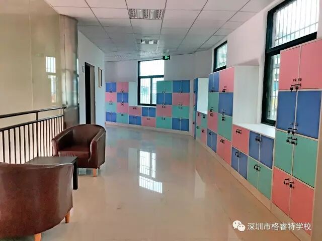 诗文趁年华，恰为少年时——深圳市龙华区第七届“三维悦读”高中生现场作文大赛