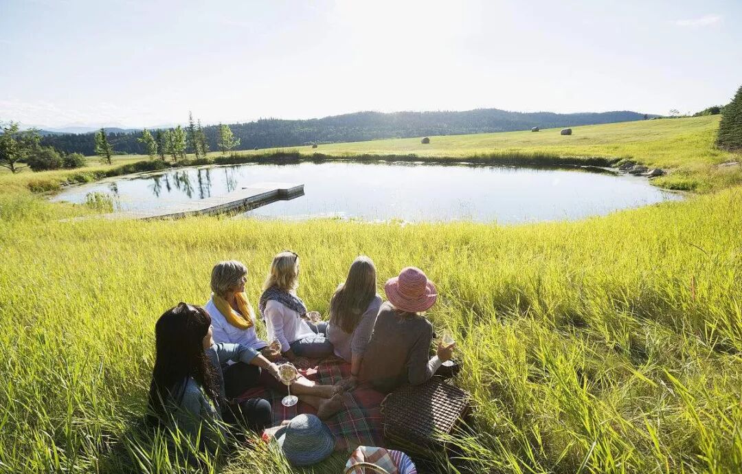 悦龄专访|做过华尔街高管、逃过911、出过畅销书，下半生却把爱好玩到了极致
